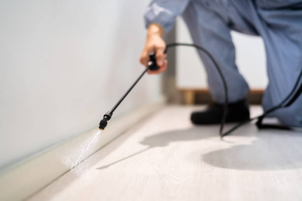 Licensed Mosquito Control service in Coal City, WV - Show Me Pest Control