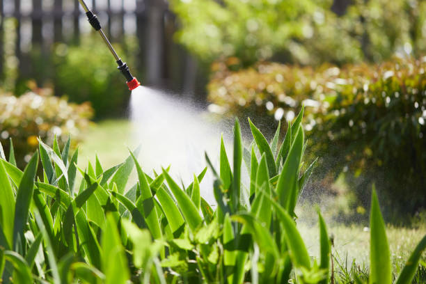 24/7 Emergency Mosquito Control experts in Coal City, WV