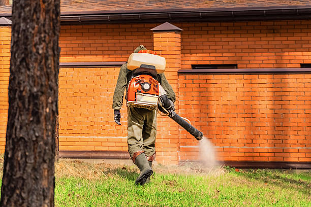 Top rated local Mosquito Control specialists in Coal City, WV
